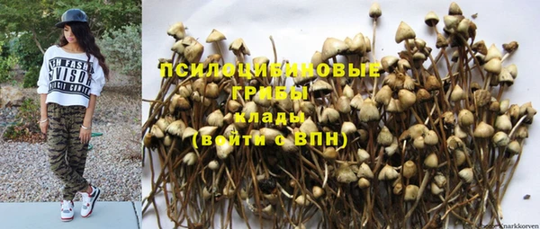 эйфоретик Алзамай