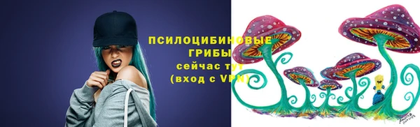 эйфоретик Алзамай