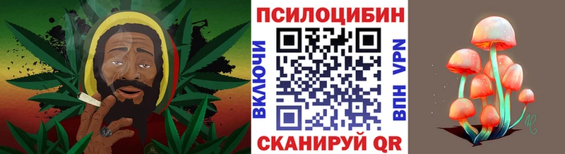 Галлюциногенные грибы мицелий  Пудож 